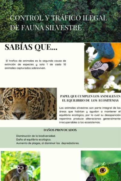 Control y tráfico ilegal de fauna silvestre