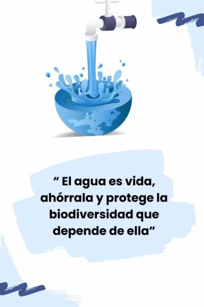 el-agua-es-vida_optimized