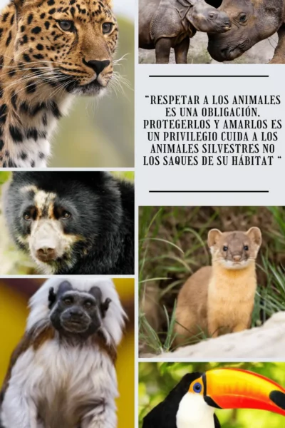 respetar-a-la-fauna-silvestre-es-nuestra-oblicación_optimized