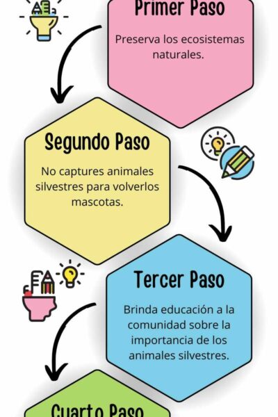 tips-para-el-cuidado-de-fauna--contratista_optimized