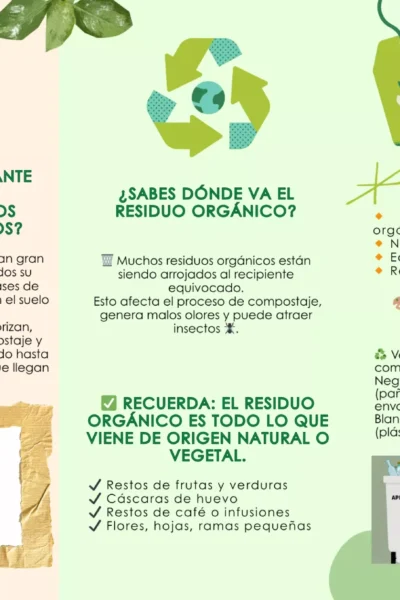 ¿Estas Separando Bien Tus Residuos